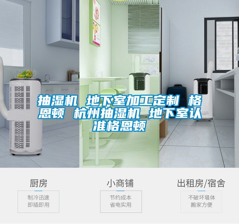 抽濕機 地下室加工定制 格恩頓 杭州抽濕機 地下室認準(zhǔn)格恩頓