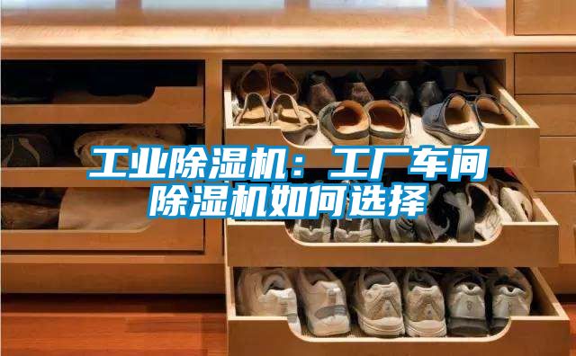 工業(yè)除濕機:工廠車間除濕機如何選擇