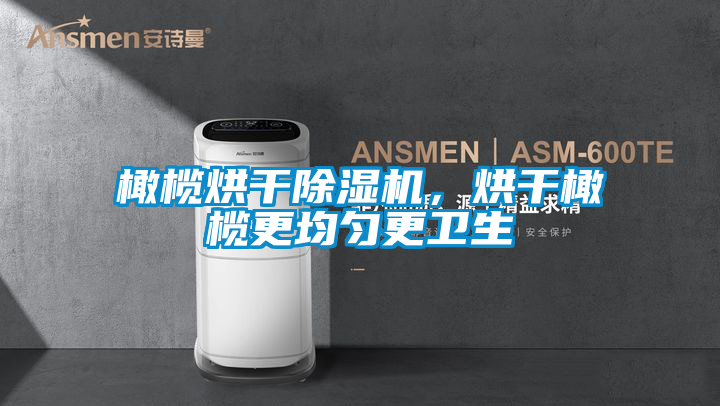 橄欖烘干除濕機,烘干橄欖更均勻更衛(wèi)生