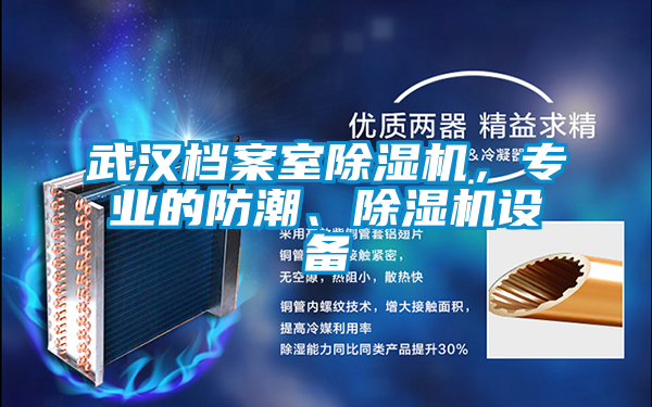 武漢檔案室除濕機,專業的防潮、除濕機設備