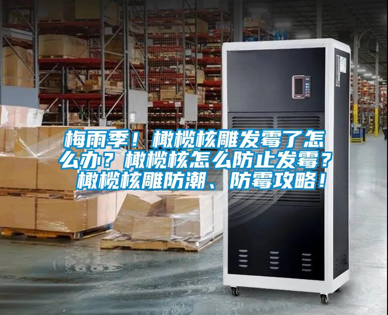 梅雨季!橄欖核雕發霉了怎么辦?橄欖核怎么防止發霉? 橄欖核雕防潮、防霉攻略!