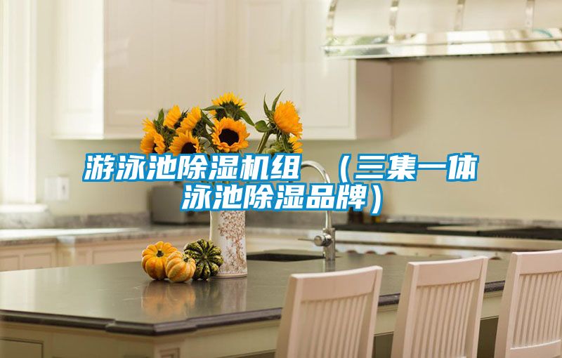 游泳池除濕機組 (三集一體泳池除濕品牌)