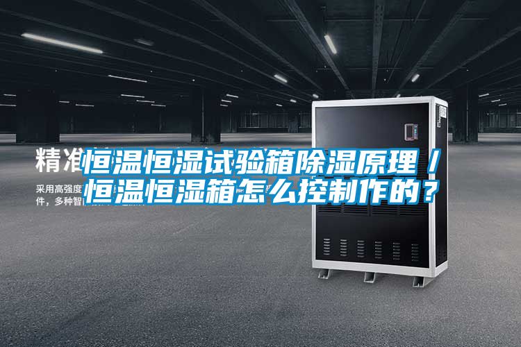 恒溫恒濕試驗(yàn)箱除濕原理/恒溫恒濕箱怎么控制作的?