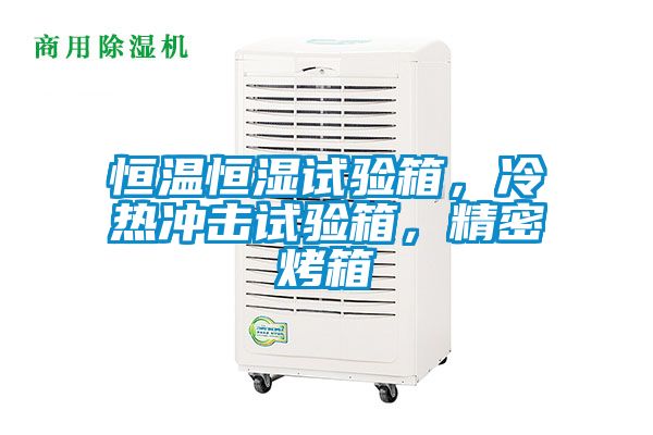 恒溫恒濕試驗(yàn)箱，冷熱沖擊試驗(yàn)箱，精密烤箱