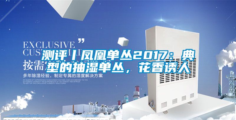 測評丨鳳凰單叢2017:典型的抽濕單叢,花香誘人
