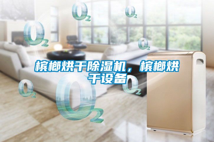 檳榔烘干除濕機,檳榔烘干設(shè)備