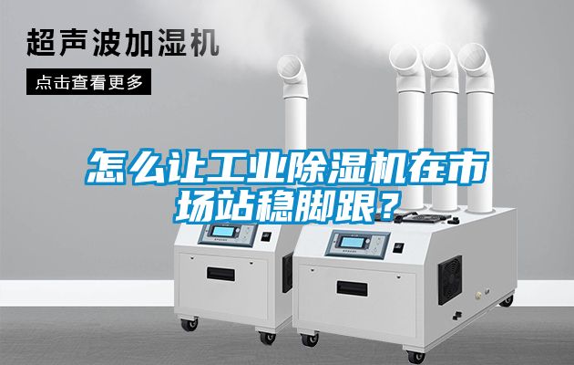 怎么讓工業除濕機在市場站穩腳跟？