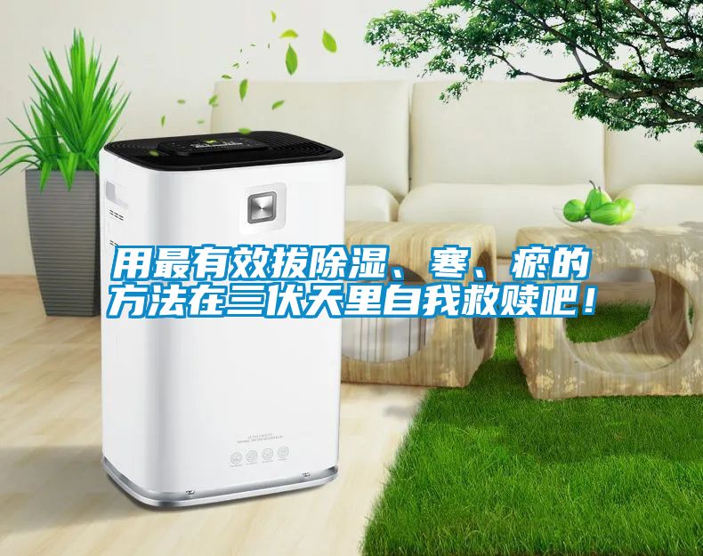 用最有效拔除濕、寒、瘀的方法在三伏天里自我救贖吧！