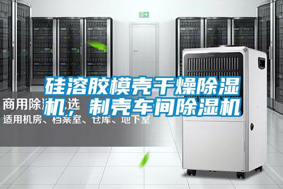 硅溶膠模殼干燥除濕機(jī)，制殼車(chē)間除濕機(jī)
