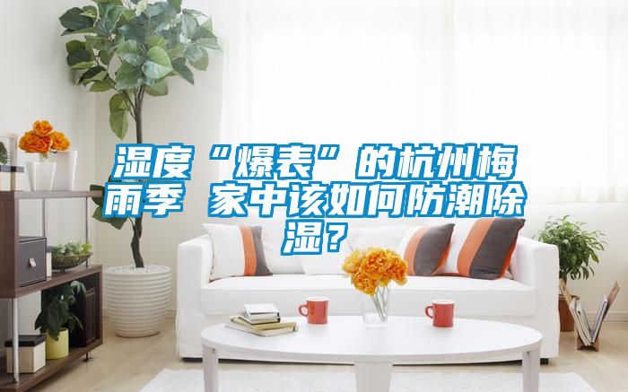 濕度“爆表”的杭州梅雨季 家中該如何防潮除濕？