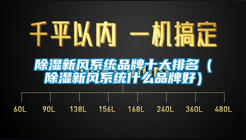 除濕新風系統(tǒng)品牌十大排名(除濕新風系統(tǒng)什么品牌好)