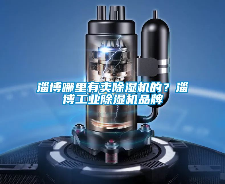 淄博哪里有賣除濕機的？淄博工業除濕機品牌