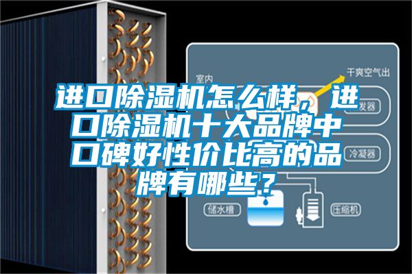進口除濕機怎么樣,進口除濕機十大品牌中口碑好性價比高的品牌有哪些?