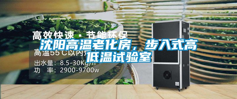 沈陽高溫老化房,步入式高低溫試驗(yàn)室