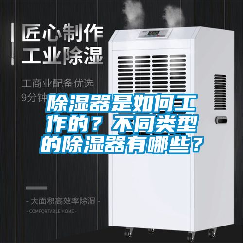 除濕器是如何工作的?不同類型的除濕器有哪些?