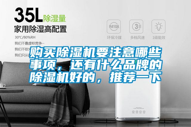 購買除濕機要注意哪些事項，還有什么品牌的除濕機好的，推薦一下