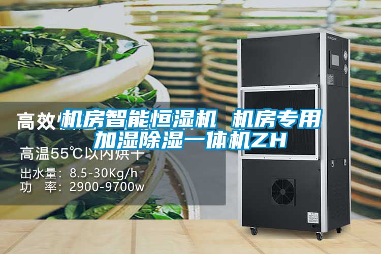 機(jī)房智能恒濕機(jī) 機(jī)房專(zhuān)用加濕除濕一體機(jī)ZH