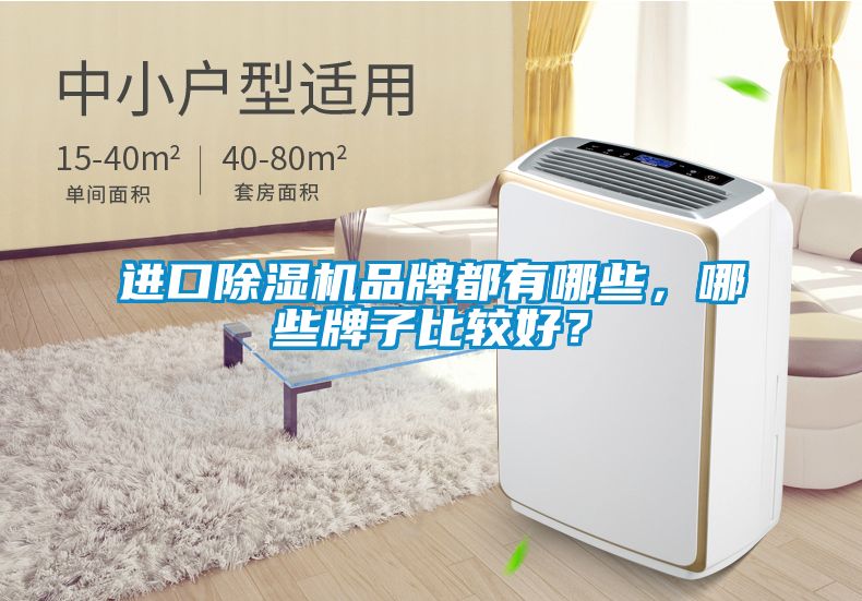 進(jìn)口除濕機(jī)品牌都有哪些，哪些牌子比較好？