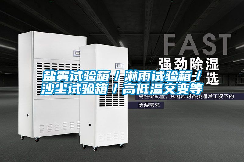 鹽霧試驗箱/淋雨試驗箱/沙塵試驗箱/高低溫交變等