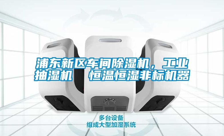 浦東新區車間除濕機,工業抽濕機 恒溫恒濕非標機器