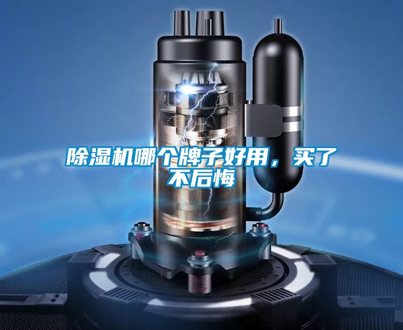 除濕機(jī)哪個(gè)牌子好用,買(mǎi)了不后悔