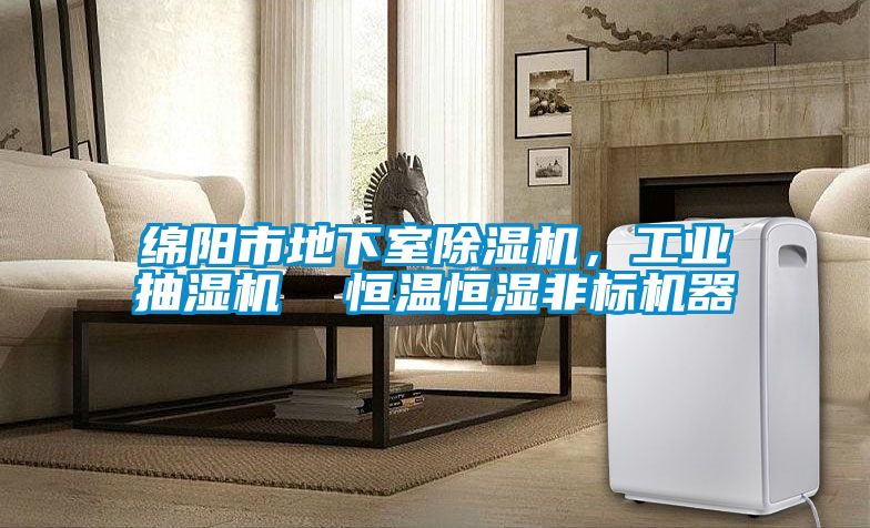 綿陽市地下室除濕機,工業抽濕機 恒溫恒濕非標機器