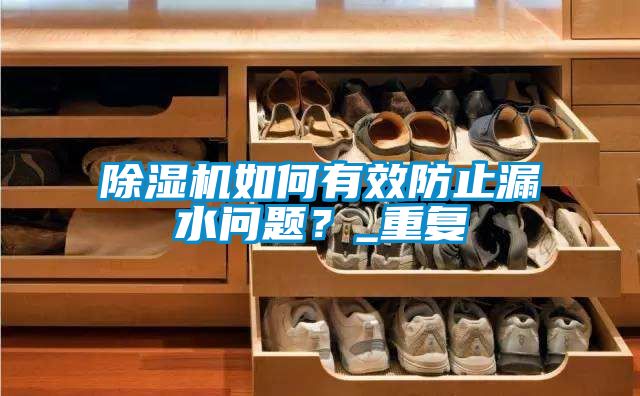 除濕機如何有效防止漏水問題？_重復