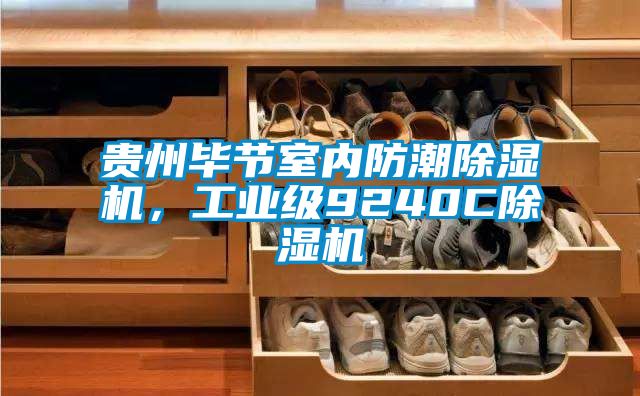 貴州畢節(jié)室內(nèi)防潮除濕機,工業(yè)級9240C除濕機