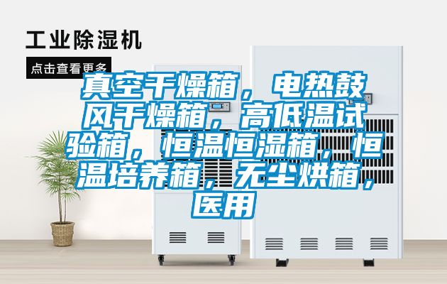 真空干燥箱,電熱鼓風(fēng)干燥箱,高低溫試驗(yàn)箱,恒溫恒濕箱,恒溫培養(yǎng)箱,無(wú)塵烘箱,醫(yī)用