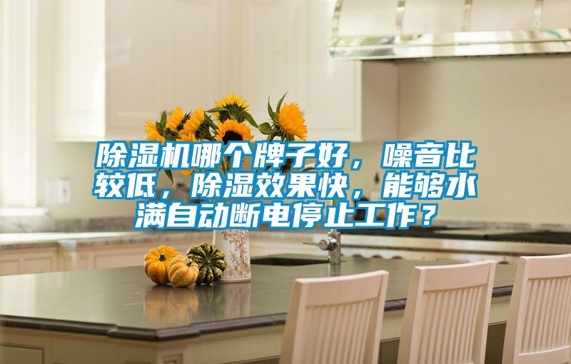 除濕機哪個牌子好,噪音比較低,除濕效果快,能夠水滿自動斷電停止工作?