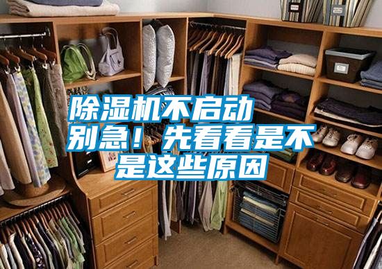 除濕機不啟動 別急!先看看是不是這些原因