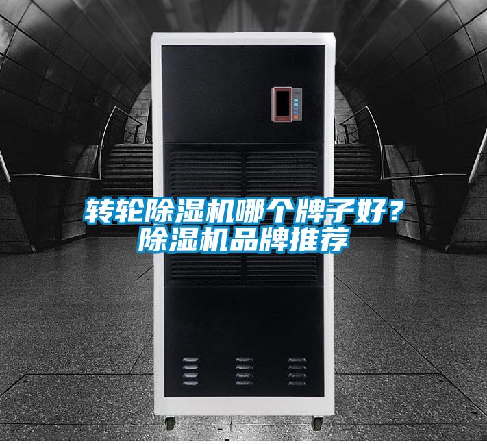 轉(zhuǎn)輪除濕機(jī)哪個(gè)牌子好?除濕機(jī)品牌推薦