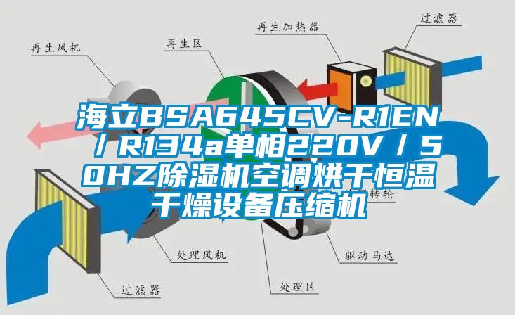 海立BSA645CV-R1EN/R134a單相220V/50HZ除濕機空調烘干恒溫干燥設備壓縮機