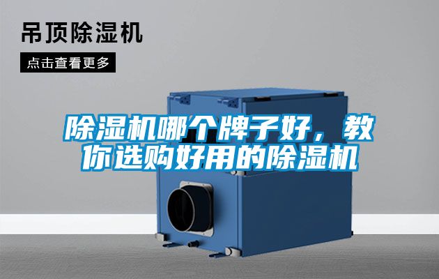 除濕機哪個牌子好,教你選購好用的除濕機