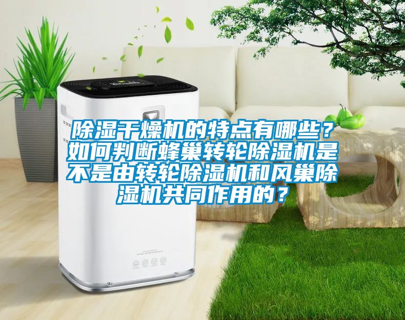 除濕干燥機(jī)的特點(diǎn)有哪些?如何判斷蜂巢轉(zhuǎn)輪除濕機(jī)是不是由轉(zhuǎn)輪除濕機(jī)和風(fēng)巢除濕機(jī)共同作用的?