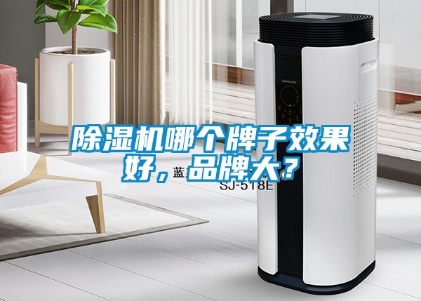 除濕機哪個牌子效果好,品牌大?