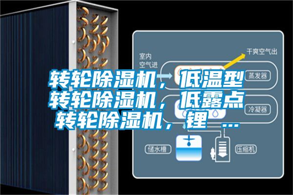 轉(zhuǎn)輪除濕機(jī)，低溫型轉(zhuǎn)輪除濕機(jī)，低露點轉(zhuǎn)輪除濕機(jī)，鋰 ...