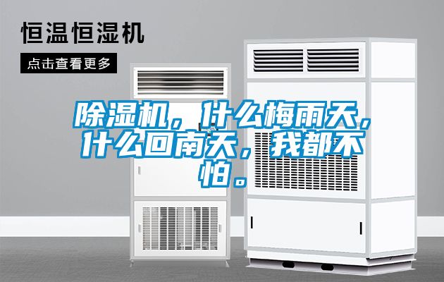 除濕機(jī),什么梅雨天,什么回南天,我都不怕。