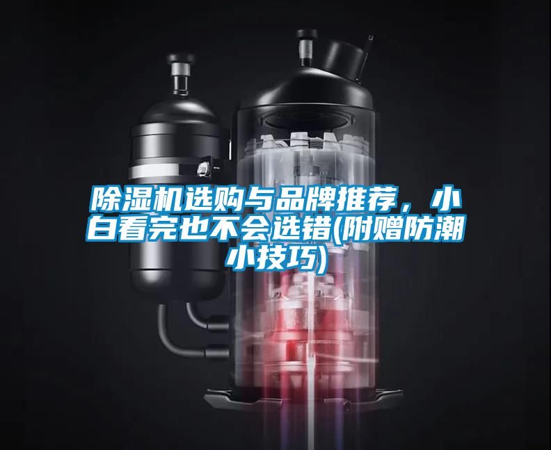 除濕機選購與品牌推薦,小白看完也不會選錯(附贈防潮小技巧)