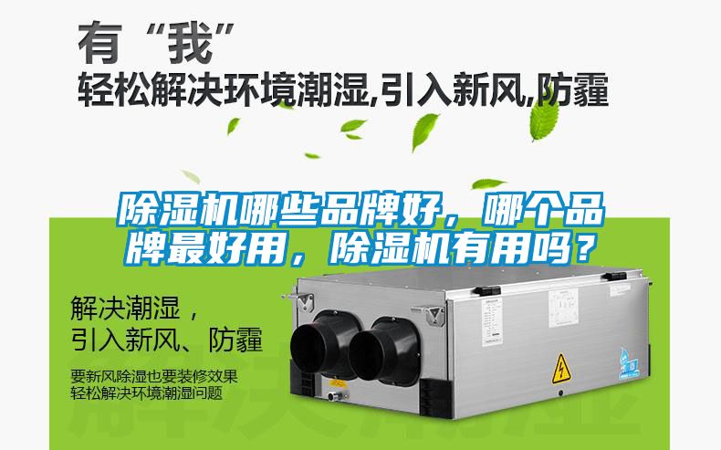 除濕機哪些品牌好,哪個品牌最好用,除濕機有用嗎?
