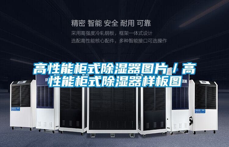 高性能柜式除濕器圖片/高性能柜式除濕器樣板圖