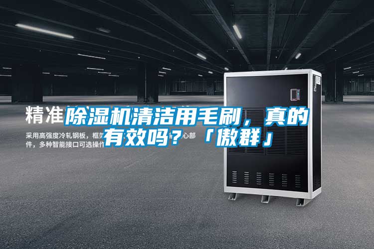 除濕機清潔用毛刷,真的有效嗎?「傲群」