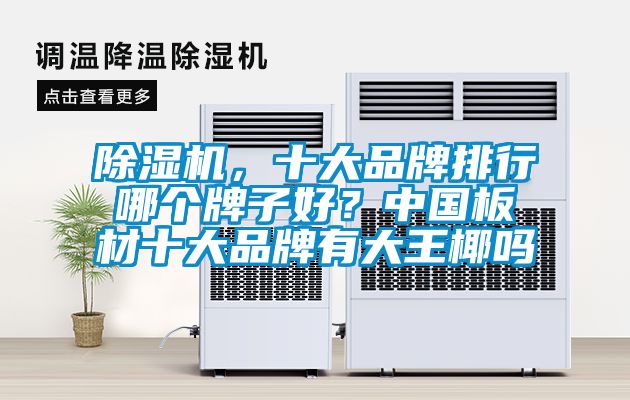 除濕機(jī),十大品牌排行哪個(gè)牌子好?中國板材十大品牌有大王椰嗎