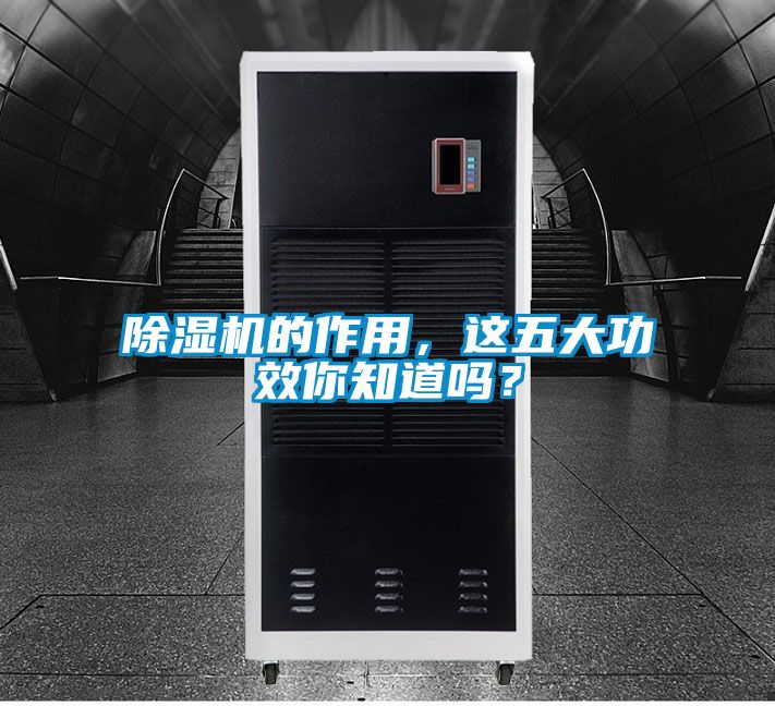 除濕機的作用,這五大功效你知道嗎?