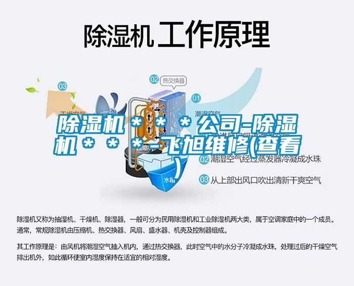 除濕機(jī)***公司-除濕機(jī)***-飛旭維修(查看)