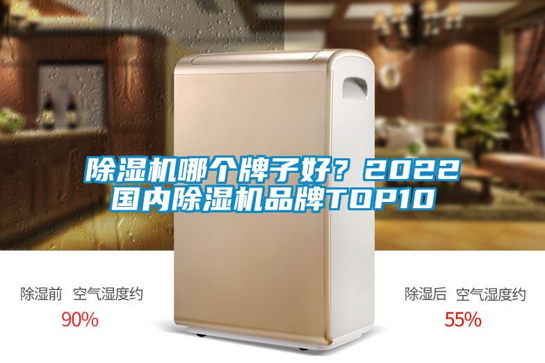 除濕機哪個牌子好?2022國內除濕機品牌TOP10
