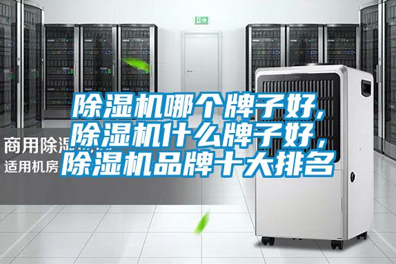 除濕機哪個牌子好,除濕機什么牌子好,除濕機品牌十大排名
