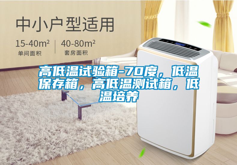 高低溫試驗箱-70度,低溫保存箱,高低溫測試箱,低溫培養