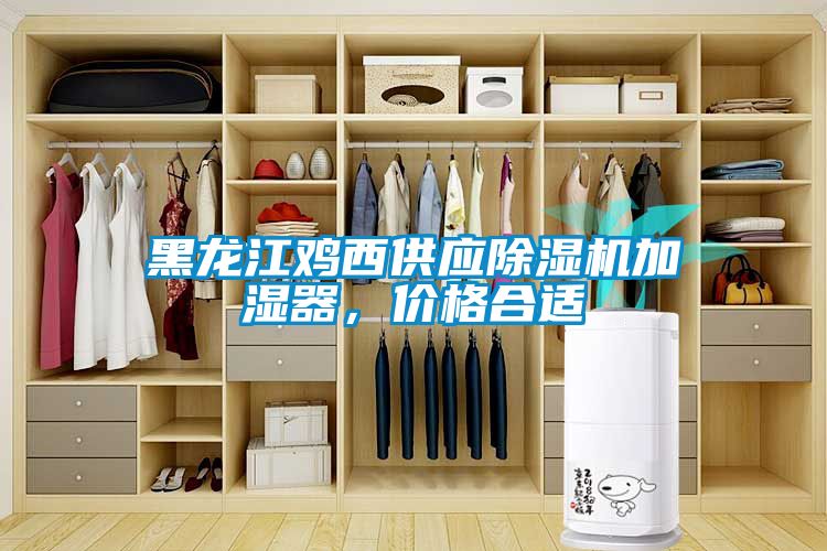 黑龍江雞西供應(yīng)除濕機(jī)加濕器,價格合適