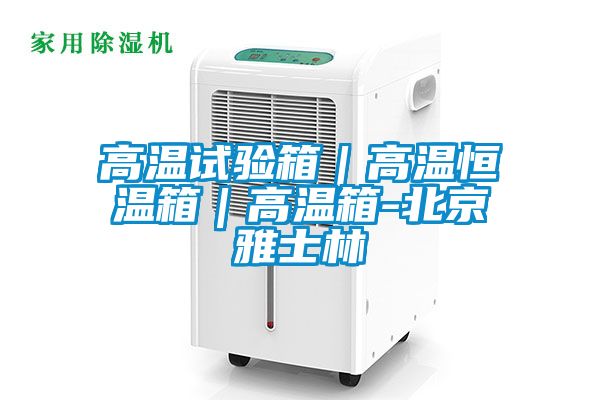 高溫試驗箱|高溫恒溫箱|高溫箱-北京雅士林